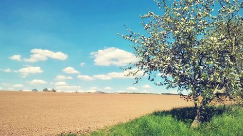 Scenic view of field against cloudy sky