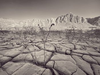 Scenic view of land against sky