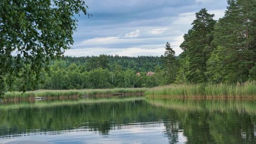 Scenic view of lake by trees against sky