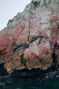 Low angle view of rock formation against sky