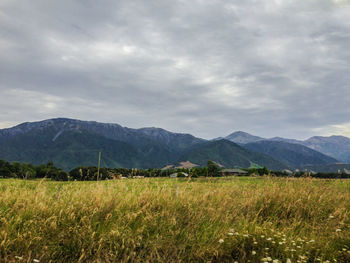 Scenic view of field against sky