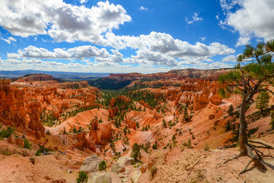 Scenic view of rock formation bryce canyon national park