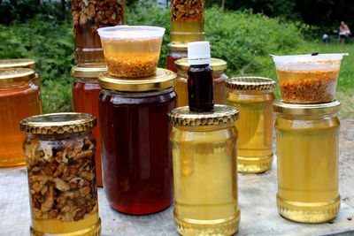 Close-up of bee in jar