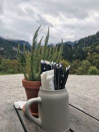 Close-up of potted plant on table against sky