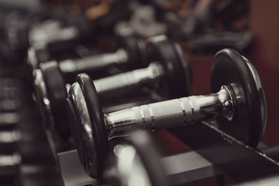 Dumbbells on gym