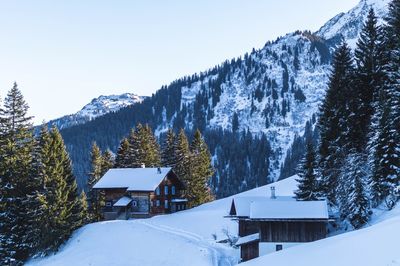 Snow covered houses and trees against sky