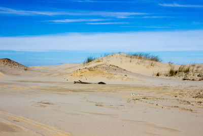 Scenic view of desert against blue sky