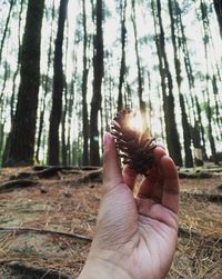 Cropped image of person holding tree trunk in forest