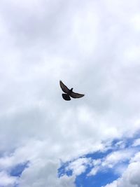 Low angle view of eagle flying against sky