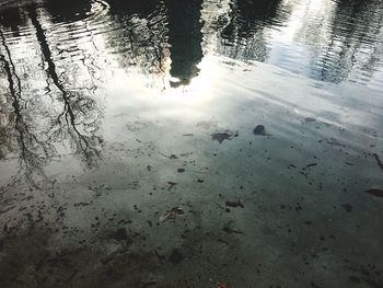 Reflection of trees on wet lake