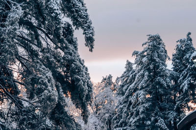 Low angle view of snow covered mountain against sky