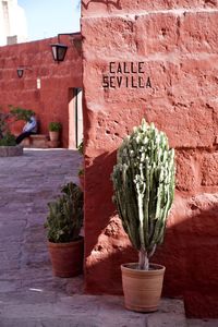 Calle sevilla santa catalina monastery