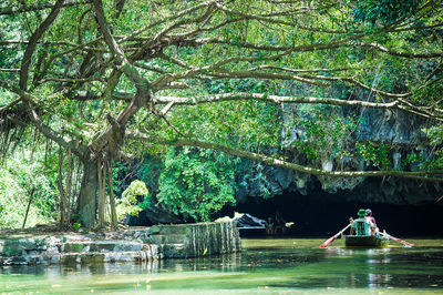 Reflection of trees in water