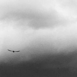 Low angle view of airplane flying in sky