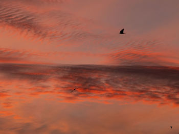 Scenic view of sea against orange sky