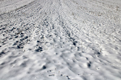 High angle view of snow covered land