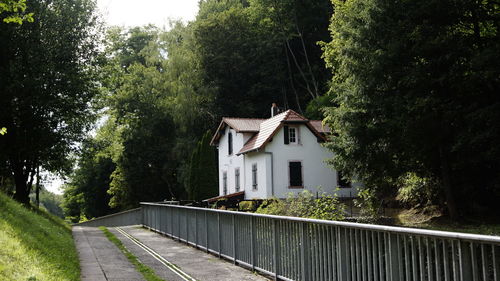 Road amidst trees and building