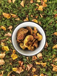 High angle view of mushrooms in bowl