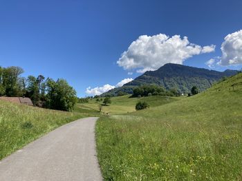 Road amidst green landscape against sky