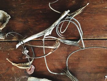 Dried plants and twigs on wood