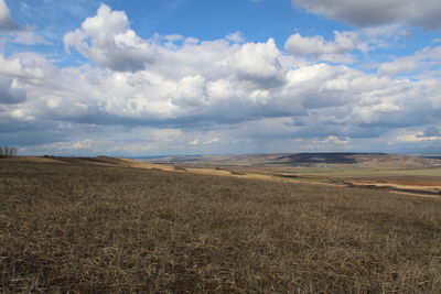 Scenic view of field against sky