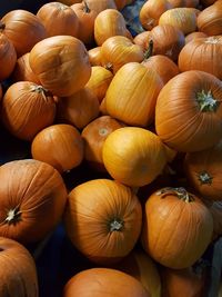 High angle view of squash for sale in market