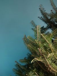 Low angle view of palm tree against sky