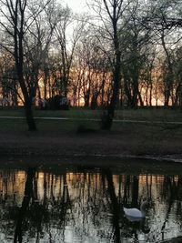 Silhouette bare trees by lake against sky during sunset