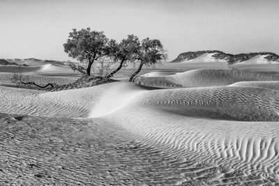 Scenic view of desert against clear sky