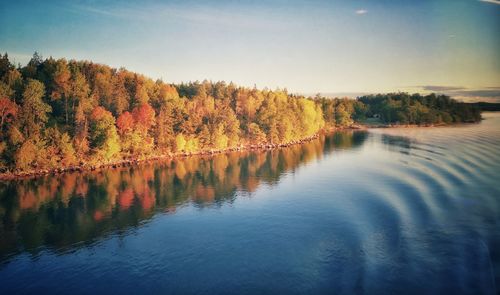 Scenic view of lake by trees during autumn
