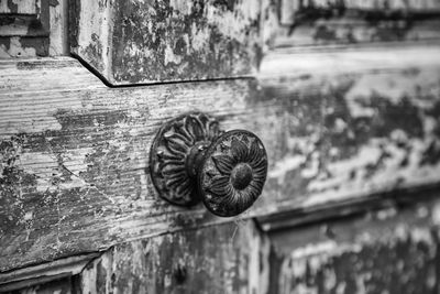 Close-up of snail on wood against wall