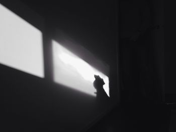 indoors