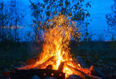 Close-up of bonfire against trees