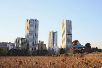 Buildings in city against clear blue sky