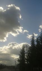 Low angle view of silhouette trees against sky