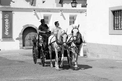 Rear view of man riding horse