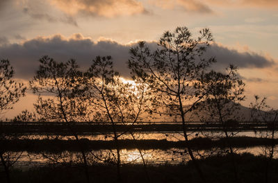 Silhouette trees by lake against sky during sunset