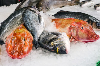 Red and gray fish for sale at a market