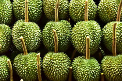 Durian season very more in the market.