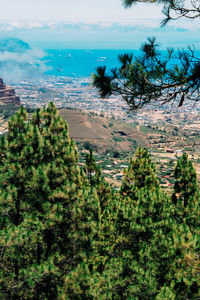 High angle view of trees on landscape against sky