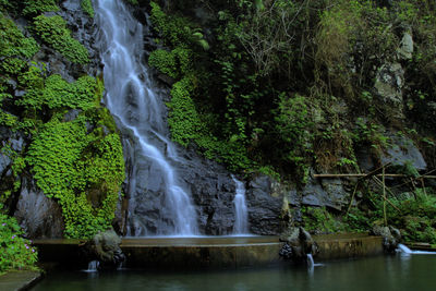 View of waterfall in forest