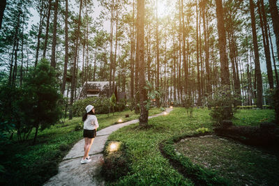Rear view of man standing amidst trees in forest