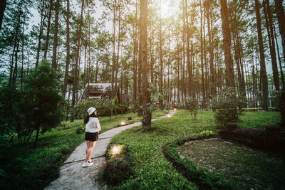 Rear view of man standing amidst trees in forest