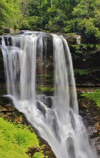 Waterfall in forest