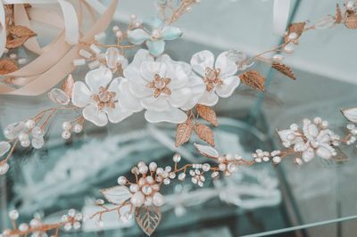 Close-up of cherry blossom tree