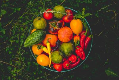 High angle view of fruits and vegetables on field