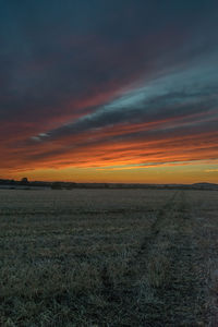 Scenic view of field against sky during sunset