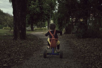 Rear view of boy riding tricycle on footpath at park