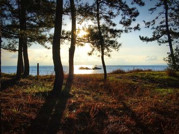 Scenic view of sea against sky at sunset