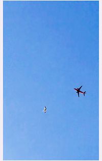 Low angle view of airplane flying in sky